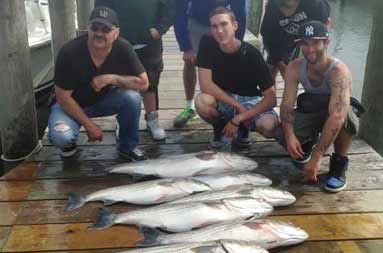 A group of guys kneeling down at the marina next to the fish they caught