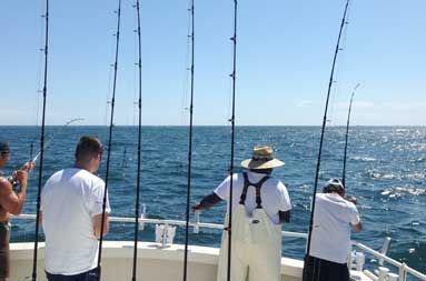 Shot from the deckhouse looking at the guys and first mate Gil next to their lines at the back of the boat
