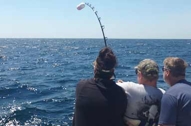 Captain Jill and Capt. John helping Tommy attempt to reel in the shark