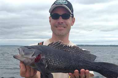 One of the guys on the trip smiling into the camera and holding up a jumbo sea bass