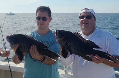 Two of the guys on the boat each holding up their monster sea bass