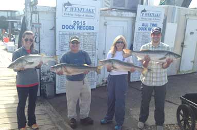 Group shot back at the marina of everyone holding their catch