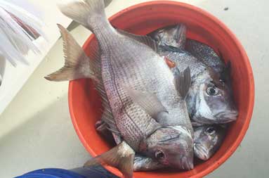 “A