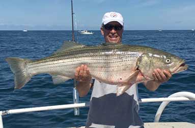 A man wearing a white baseball cap and sunglasses holds up a large striped bass.