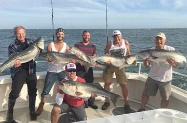 Six middle-aged and senior men stand on the boat smiling, each holding a striped bass.