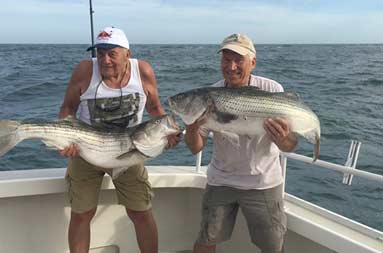 Two older gentleman smile as they each hold up a striped bass.