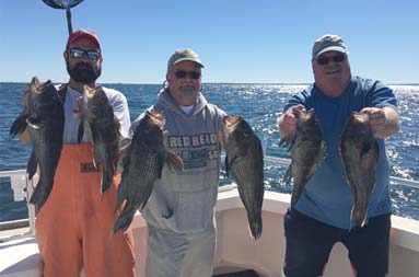 Three men with sunglasses on holding up the fish they caught.