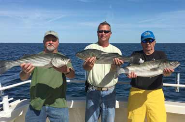 Three men smile as they gold up the sea bass they caught.