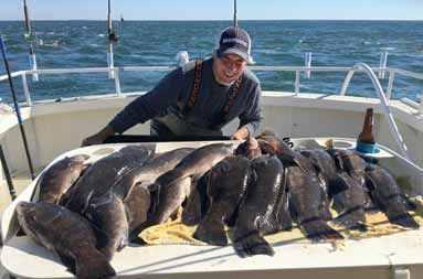 A man smiles as he leans over the fillet board with a spread of blackfish laid out.
