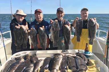 Four men each hold up the fish they caught as they stand in front of the fillet table with more blackfish laid out.