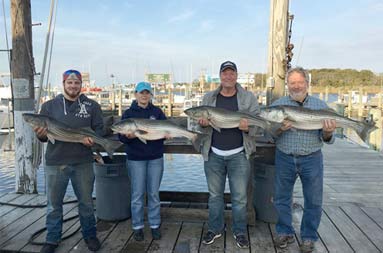 Back at the marina, a group of one woman and four men each hold up the striped bass they caught.