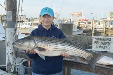 Back at the marina, a woman holds up the striped bass she caught.