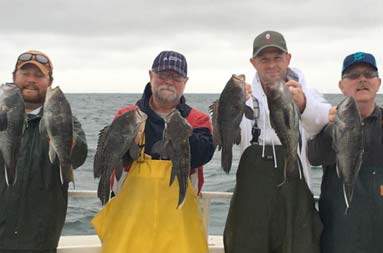 Group photo of four men standing on the boat each holding up 2 sea bass.