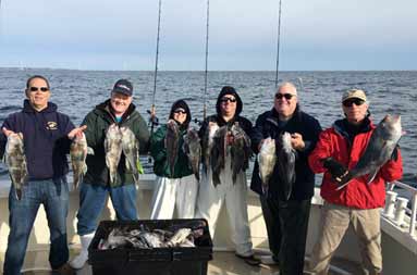One woman and 5 men stand on the boat bundled up, each holding 2 jumbo sea bass.