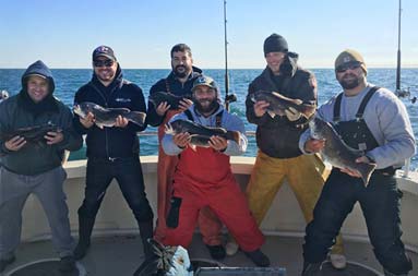 A group of 6 men smiling and each holding up the blackfish (tautogs) they caught.