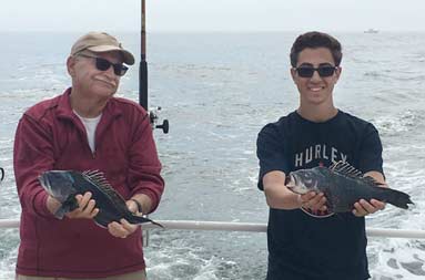 An older man and young man each hold the sea bass they caught.