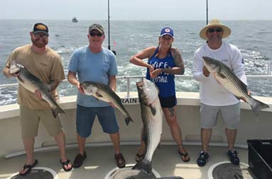 All smiles, three men hold up average-sized striped bass and one woman holds up one very large bass.