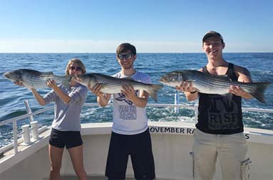 A woman and two young men each hold up the striped bass they caught.