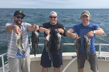 Three men each hold up 2 jumbo sea bass.