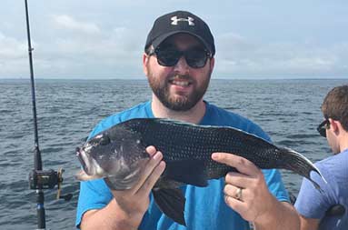 A man wearing a blue shirt and sunglasses holds out the jumbo sea bass he caught for the camera.