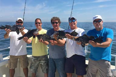 A sunny day with blue skies behind 5 men who each hold up the sea bass they caught.