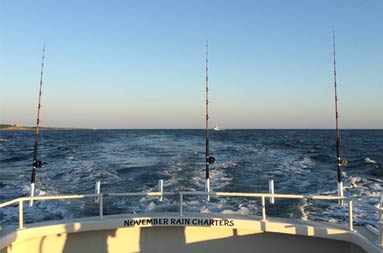 View from the cabin looking out onto the deck, with poles ready and the wake behind the boat under a clear blue sky.