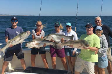 A group of 7 adult men and women smile big as they hold up 4 striped bass.