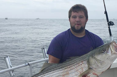 A man wearing a purple t-shirt holds up a large striped bass.