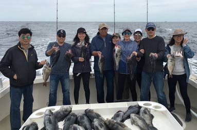 A group of nine adults holding up the sea bass and porgy (scup) they caught.