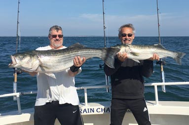 Two men wearing sunglasses smile and each hold up a striped bass.