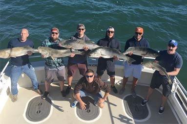 View from a top the boat looking down at 6 men standing up each holding a striped bass and one man kneeling down in front.