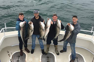 View from a top the boat looking down at the deck at 4 men holding up the six striped bass they caught.
