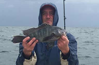 Dark gray, cloudy sky with a man wearing a rain jacket holding up a sea bass.