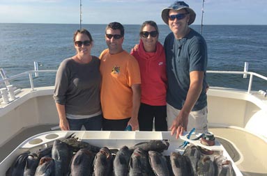 Two couples stand behind the filet board with a dozen whole sea bass laid out in front of them.