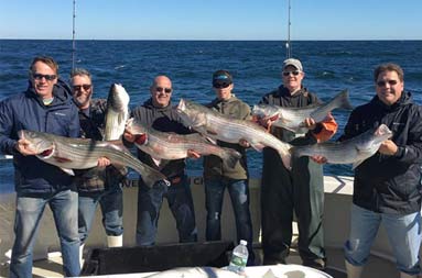 With a clear blue sky behind them, fix men and a young adult male stand on the boat, each holding up the striped bass they caught.