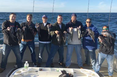 On a sunny, blue sky day, 7 men stand on the boat and each hold up 2 sea bass