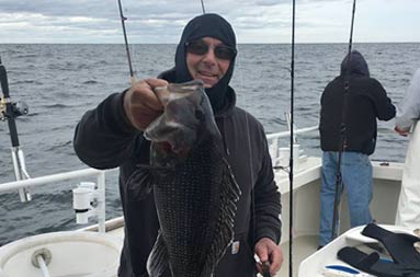 A man proudly holds up a large sea bass 