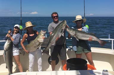 A group of 3 women and 1 man each hold up the striped bass they caught.