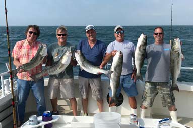Under a slightly overcast sky and the sun peeking through, five men each hold up striped bass, one of them with two bass.