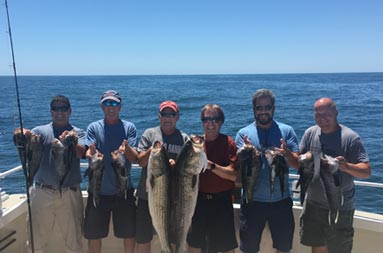 On a sunny clear day, six men smile for the camera as they hold up a mix of sea bass and striped bass.