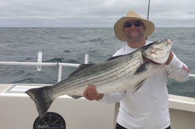 A man wearing a hat and sunglasses smiles for the camera as he holds up a striped bass.