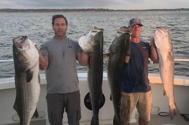Two men as both mean each hold up 2 striped bass.