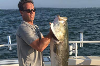 A man wearing sunglasses late in the afternoon holds up a striped bass.