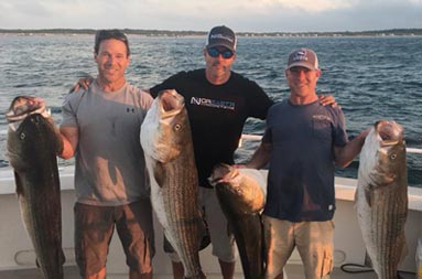 Captain Steve stands between 2 men as both mean each hold up 2 striped bass.