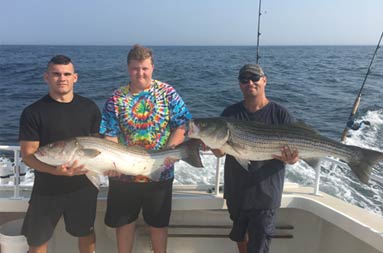 Three men hold up 2 striped bass together.