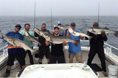 Seven men each hold up a striped bass.