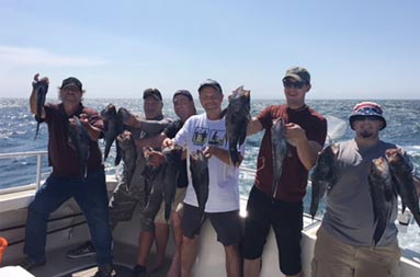 Six men smile for the camera and hold up 2-3 sea bass each.