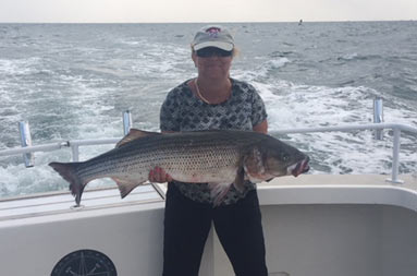 A woman uses two hands to hold up a large striped bass.