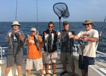 Five men, some wearing baseball caps, hold up two sea bass each.