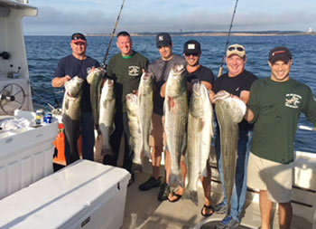 Six men stand side-by-side smiling for the camera while each holding up a striped bass.